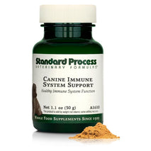 Canine Immune System Support